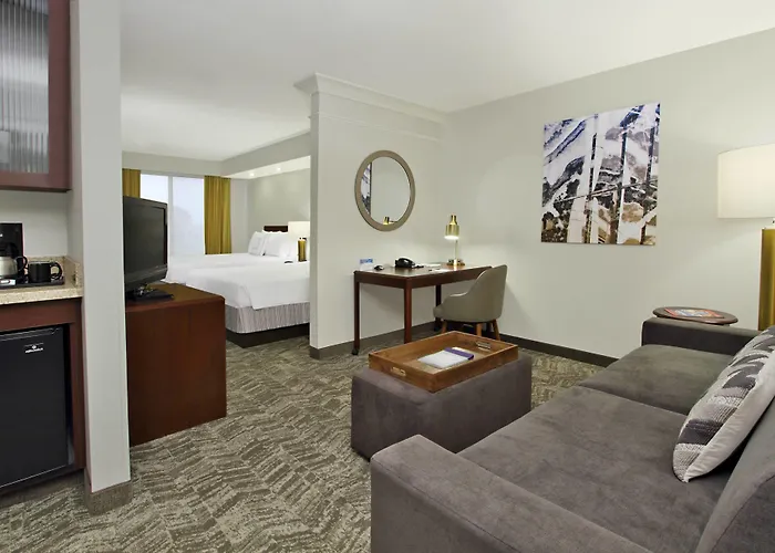 Springhill Phoenix Sports & Entertainment District 3*