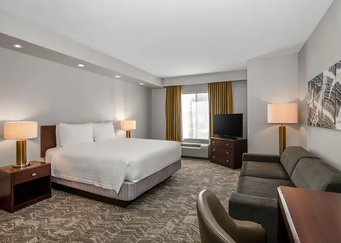 Springhill Phoenix Sports & Entertainment District Hotel Glendale